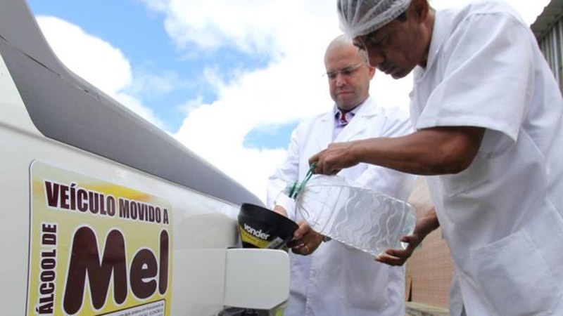 #Bahia: Produtor faz álcool com mel de abelha e não passa sufoco durante greve de caminhoneiros