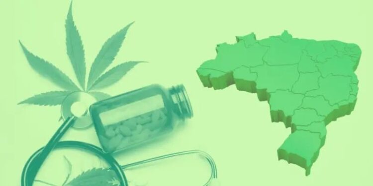 Explorando a rica história da Cannabis medicinal no Brasil, desde prescrições do século XIX até os avanços contemporâneos em pesquisa e legislação | FOTO: Divulgação |