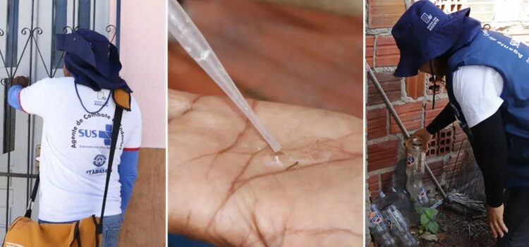 Prefeitura de Itaberaba promove ações de combate ao mosquito da dengue no município | FOTO: Montagem do JC |