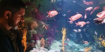 #MeioAmbiente: Bahia pode ganhar primeiro aquário imersivo focado na conservação da fauna brasileira